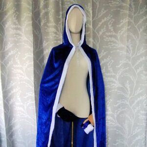 Blue Velvet Hooded Faux Fur Trim Cloak and Gloves